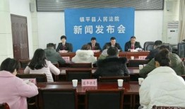 镇平新闻爆料事件最新,最新事件追踪，真相渐明